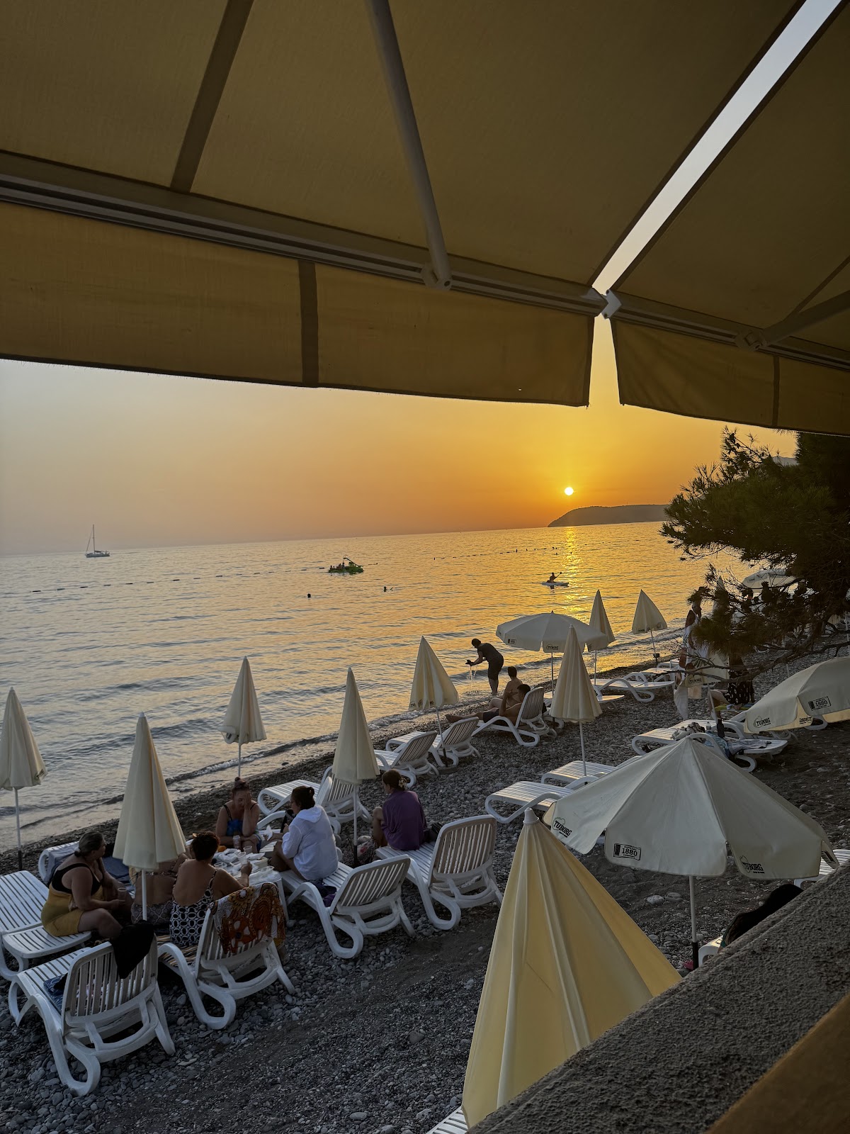 Evening ambiance at Forest cafe in Bar